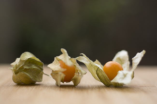 physalis