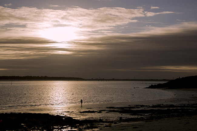 paysage plage coucher de soleil